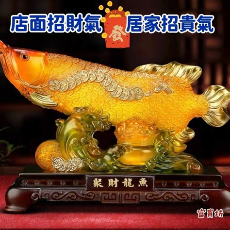 財魚|【招財魚和什麼魚】一文睇清招財魚種類 